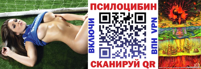 Псилоцибиновые грибы MAGIC MUSHROOMS  Рассказово 